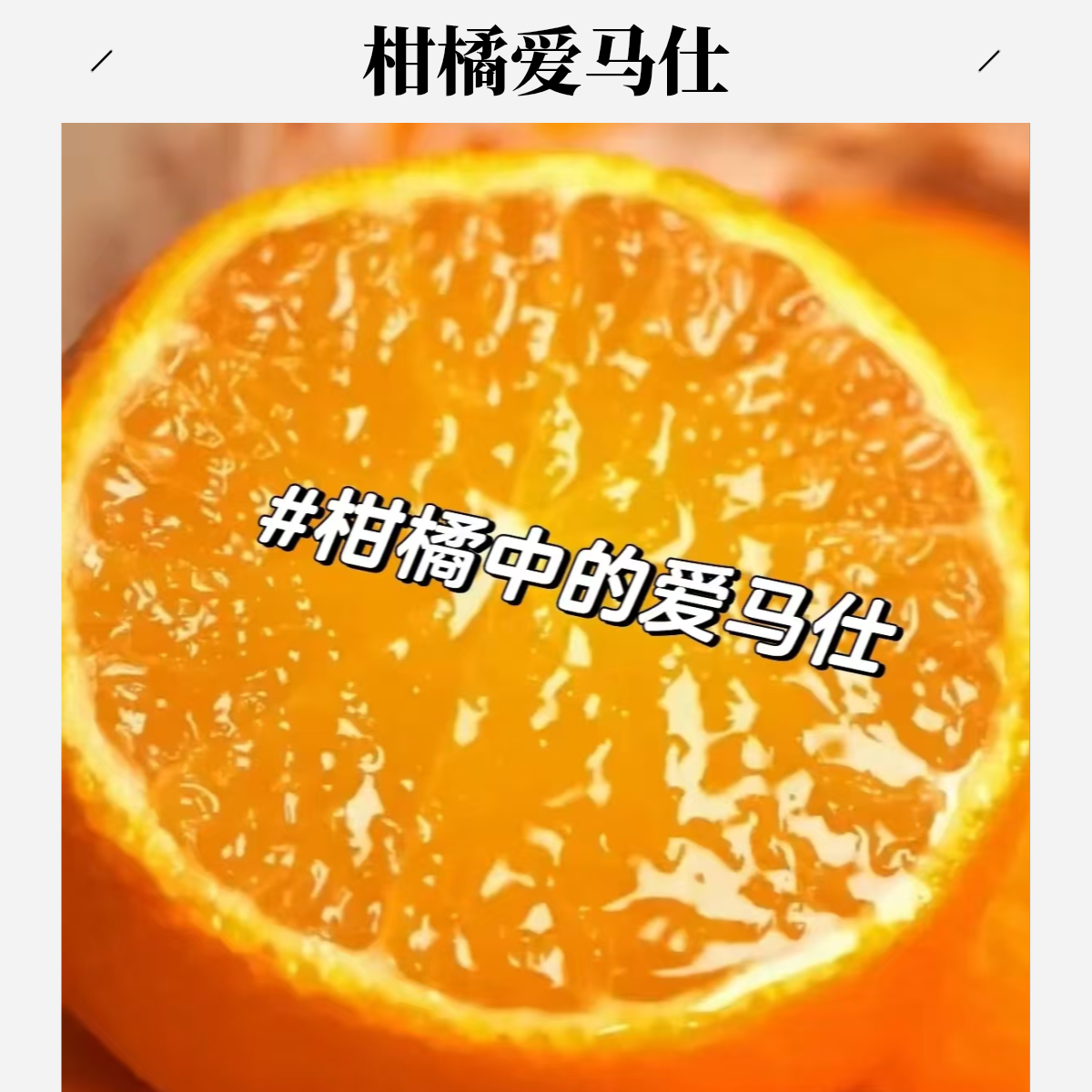 红美人爆甜蜜桔净重10斤福建省