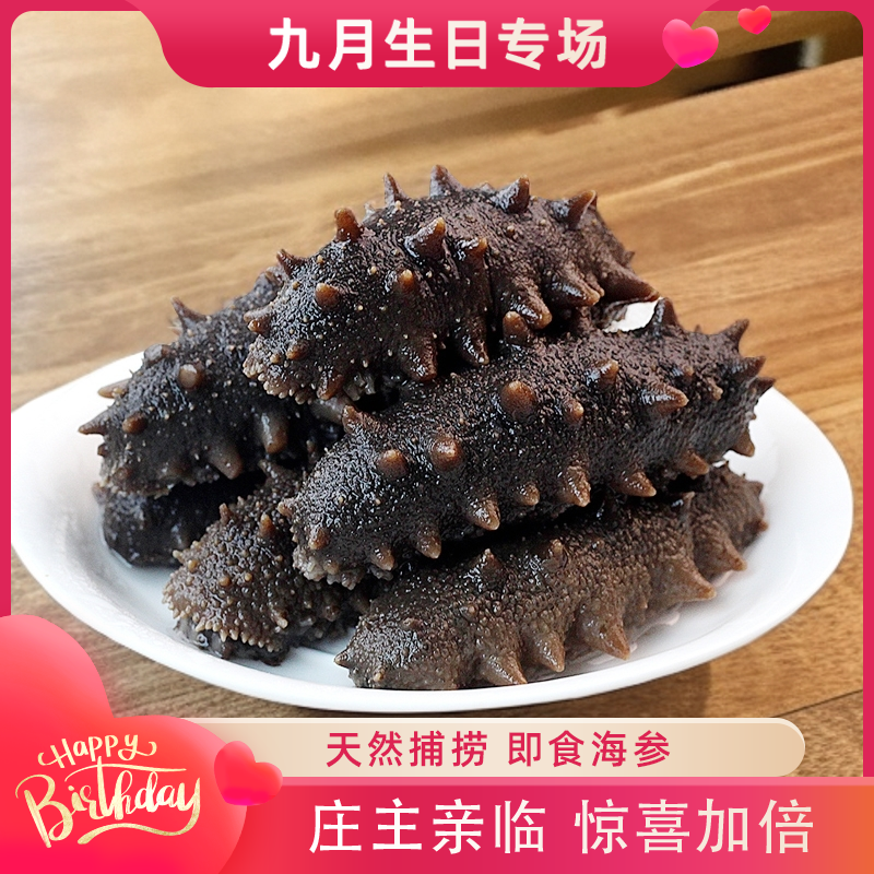 【九月甄选】冠参岛精选源头即食海参约8-12头/斤
