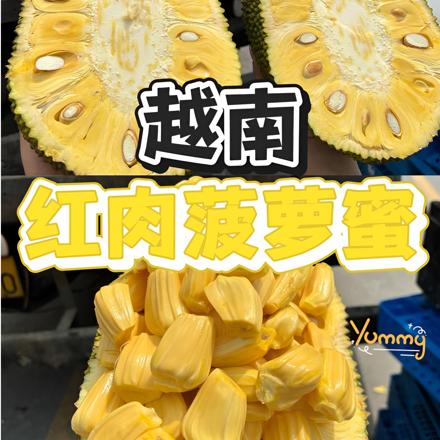  越南红肉菠萝蜜 【手挑精选双A果】 老树自然成熟 香甜脆 提供去芯