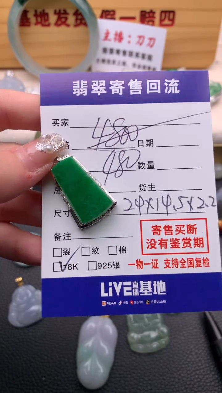 翡翠18K金镶嵌颈饰21013864