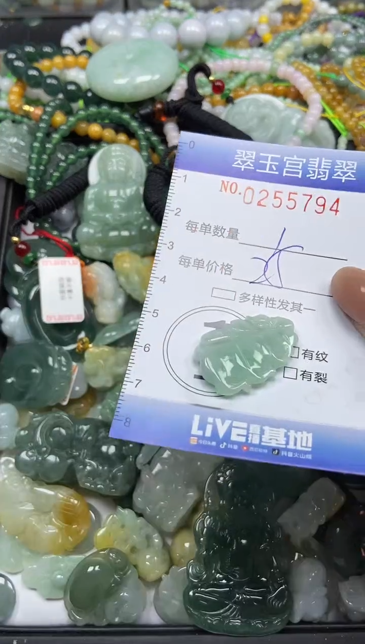 颈饰未镶嵌翡翠闪购C0255794