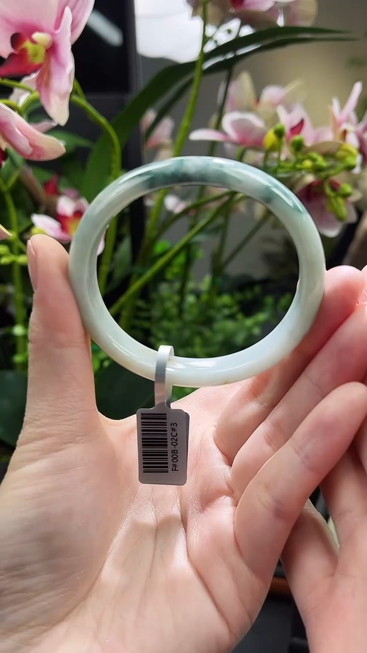 【闪购商品】翡翠手镯未镶嵌贵妃