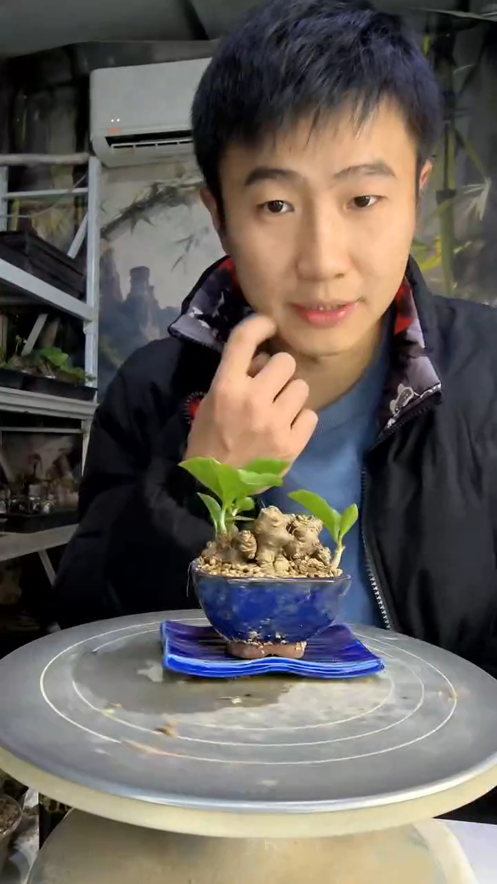 非*甜中青园艺一物一拍173