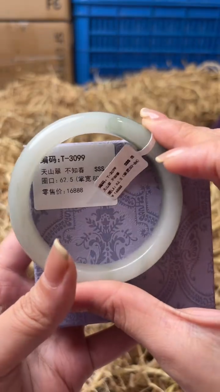 未镶嵌手镯石英质玉T-3099