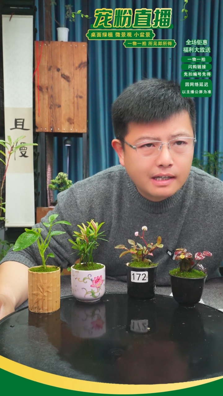 无花朵?***虑苔藓微景观172号