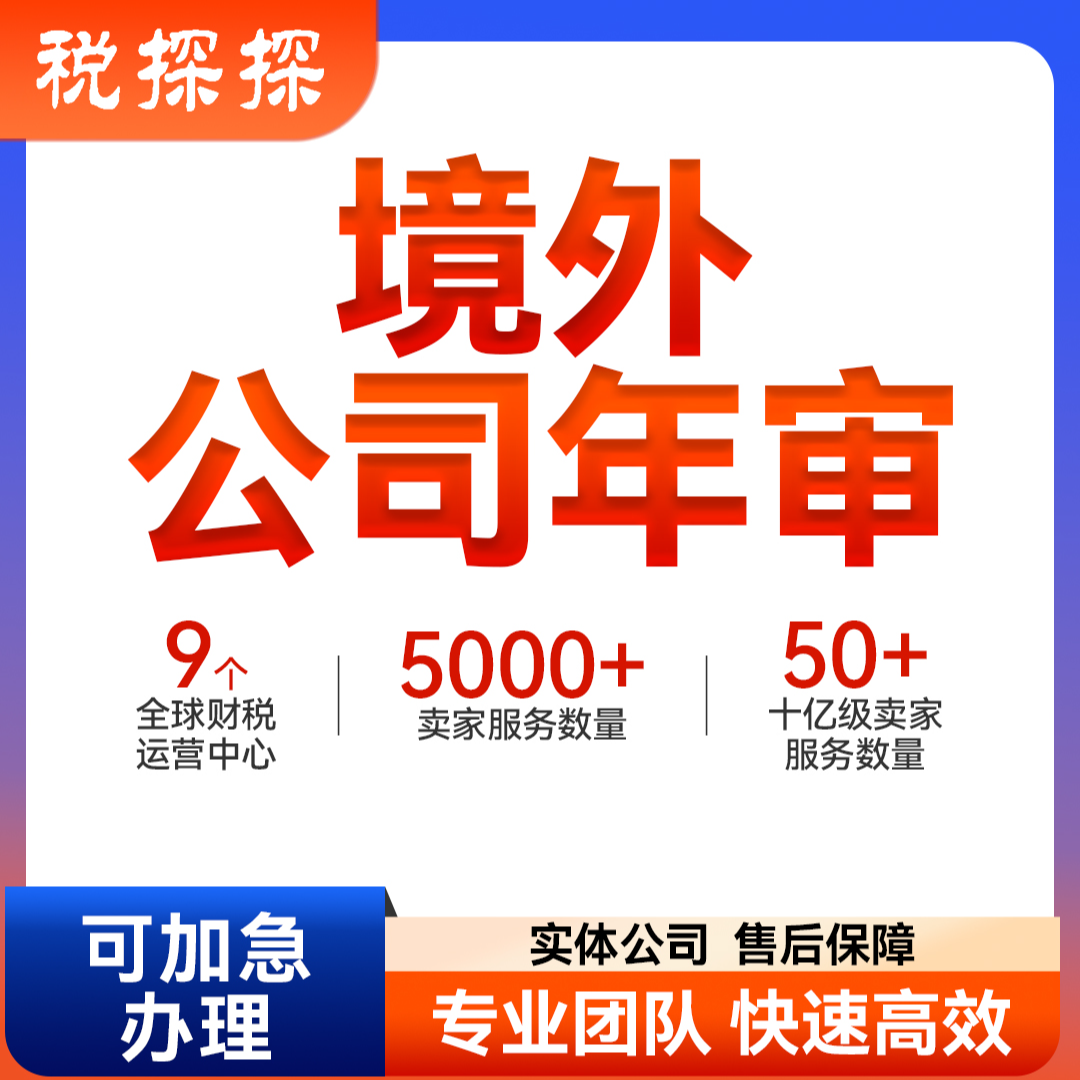 【VIP咨询】海外公司年审