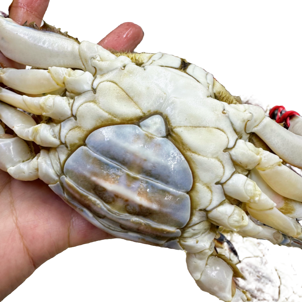 肉母+虾爬3斤 蟹单只2两左右虾爬上汽3分钟 限三环内【保鲜不保活】