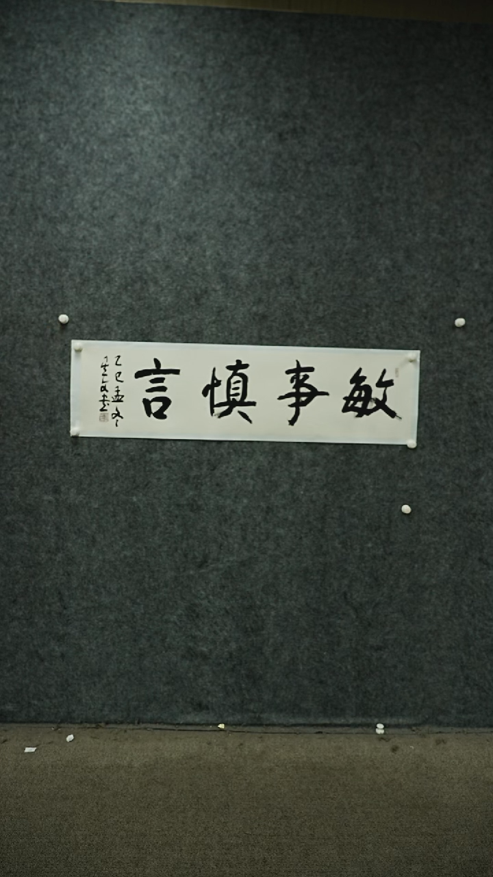 国画书法SXW老师书法作品