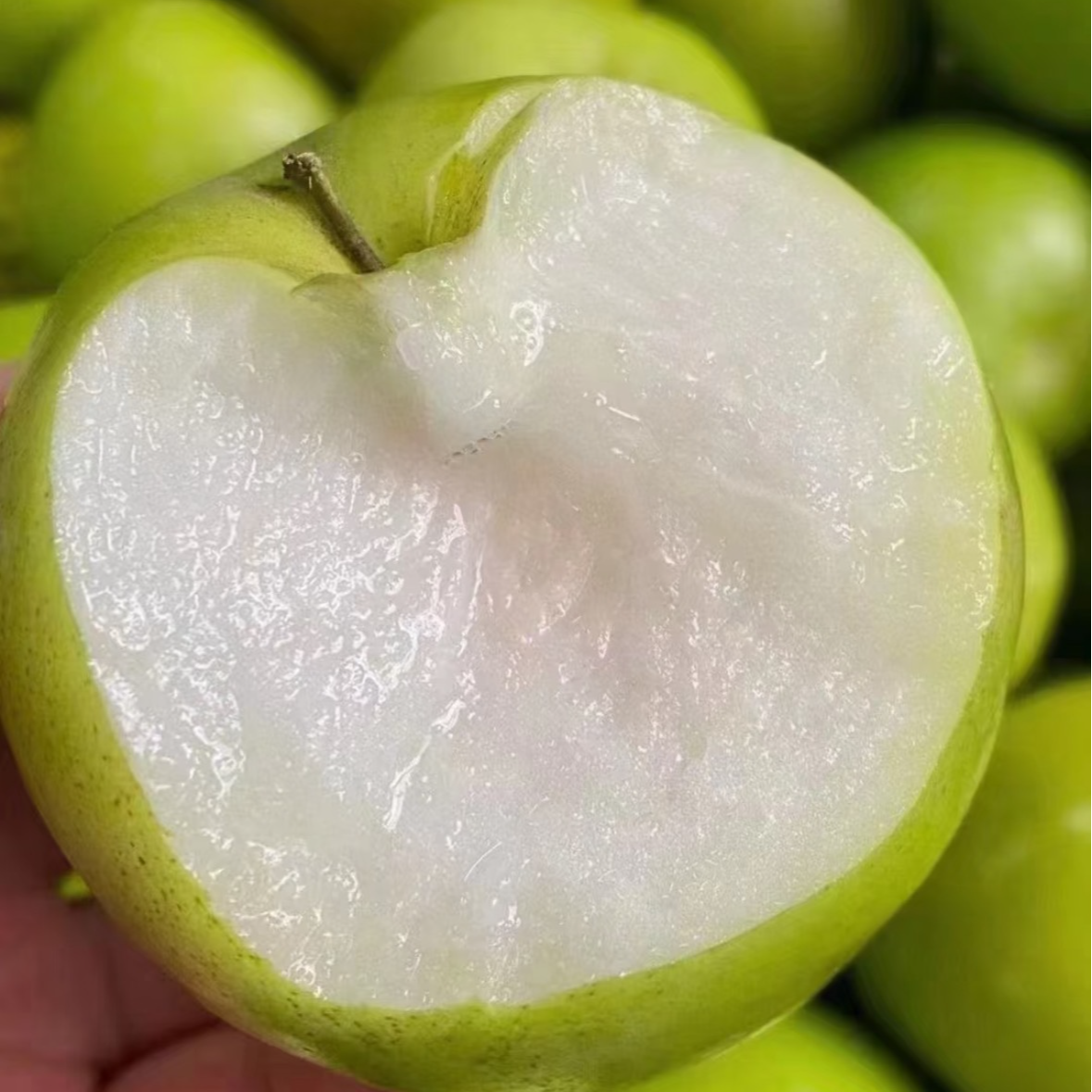 【翠宝宝】云南西双版纳苹果枣 雀斑太阳果 脆甜多汁 川渝包邮