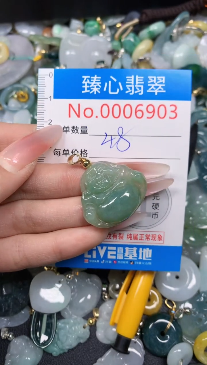 【闪购商品】翡翠颈饰未镶嵌含绳0006903