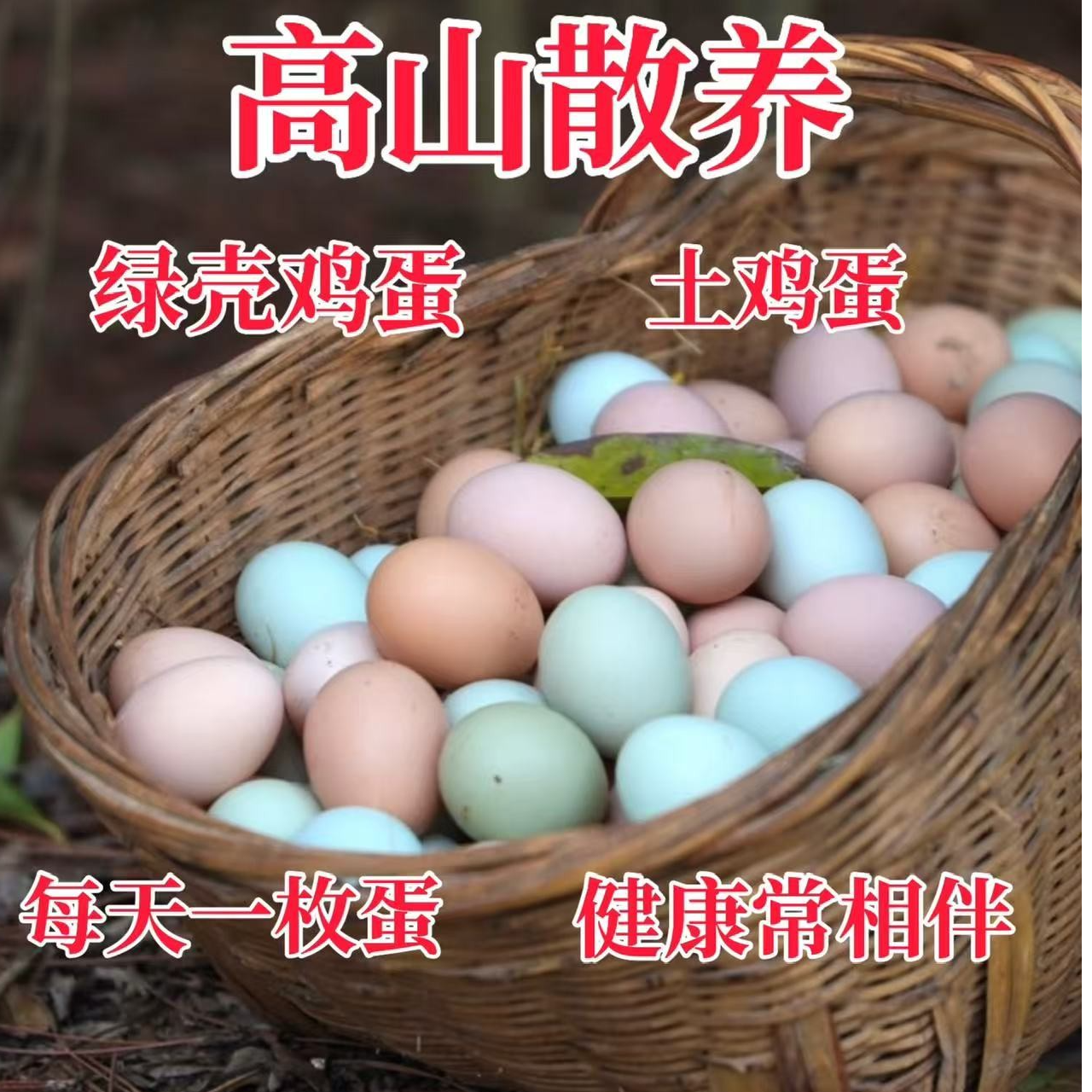 农里鸿贵州高山散养绿壳鸡蛋10个