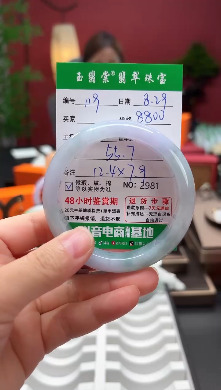 未镶嵌手镯翡翠翡翠119