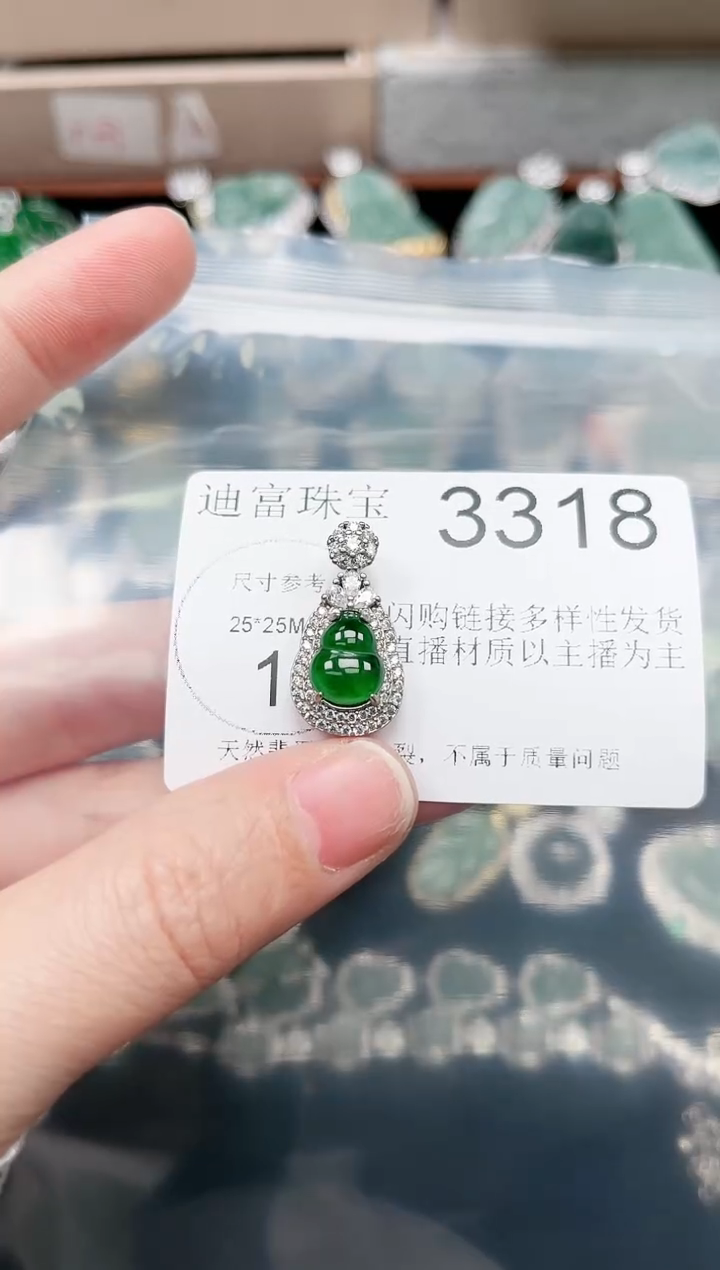 【闪购商品】翡翠颈饰未镶嵌赠皮绳3318