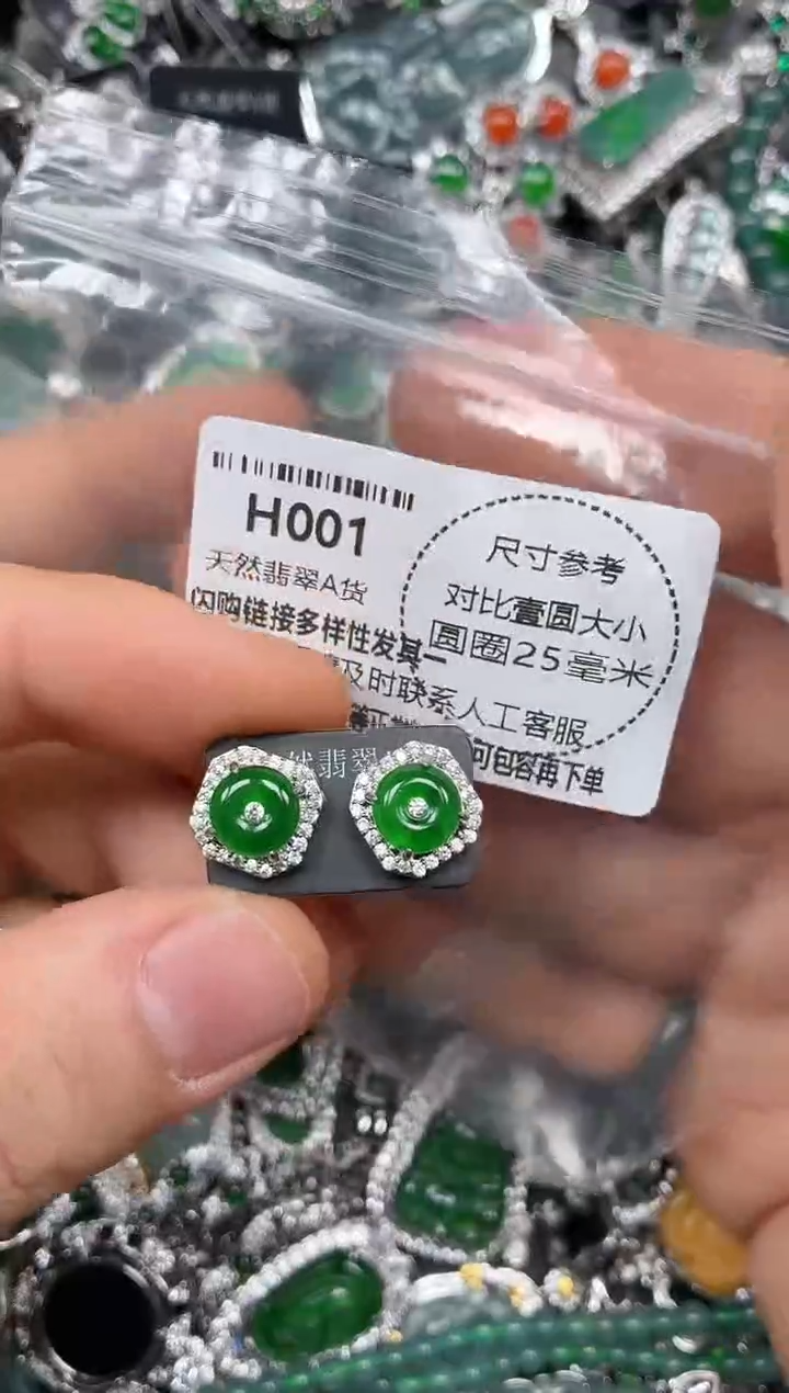 颈饰未镶嵌翡翠H001耳钉