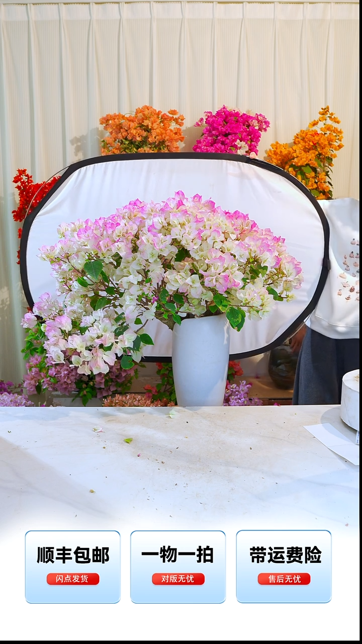 大部分开放少量花苞金*花绿樱