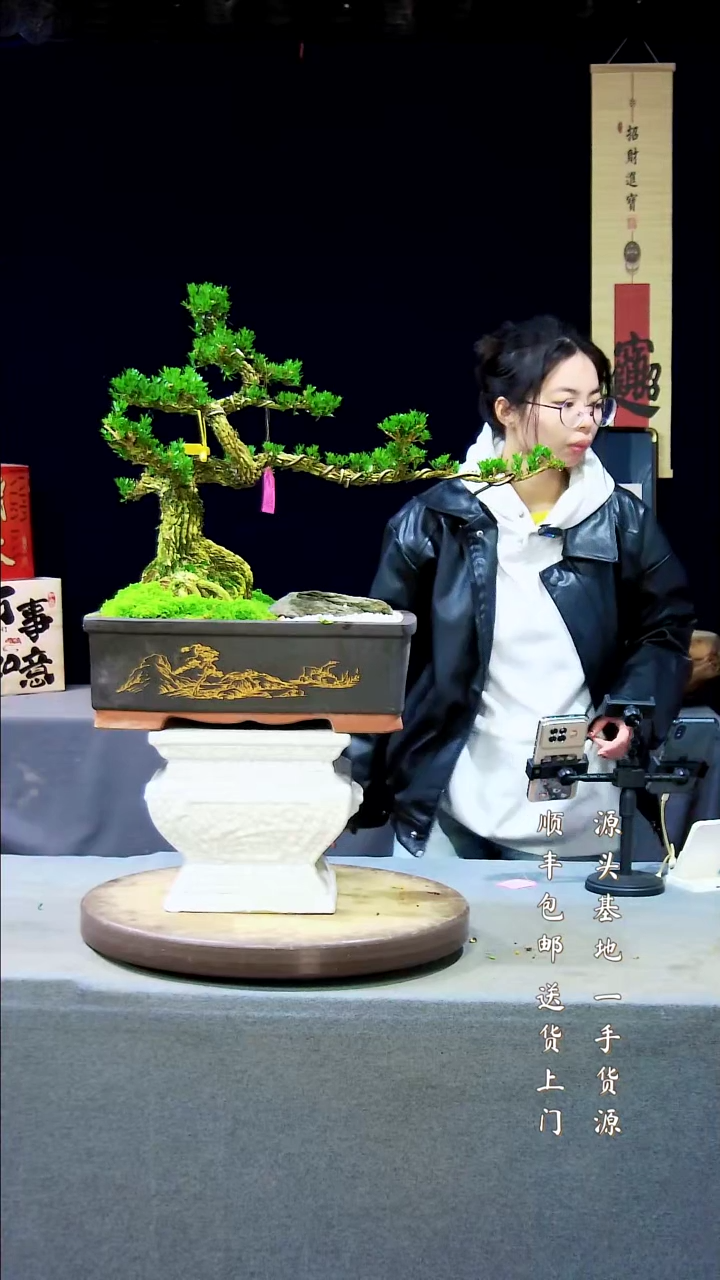【闪购商品】雀舌黄杨盆景雀舌黄杨盆景