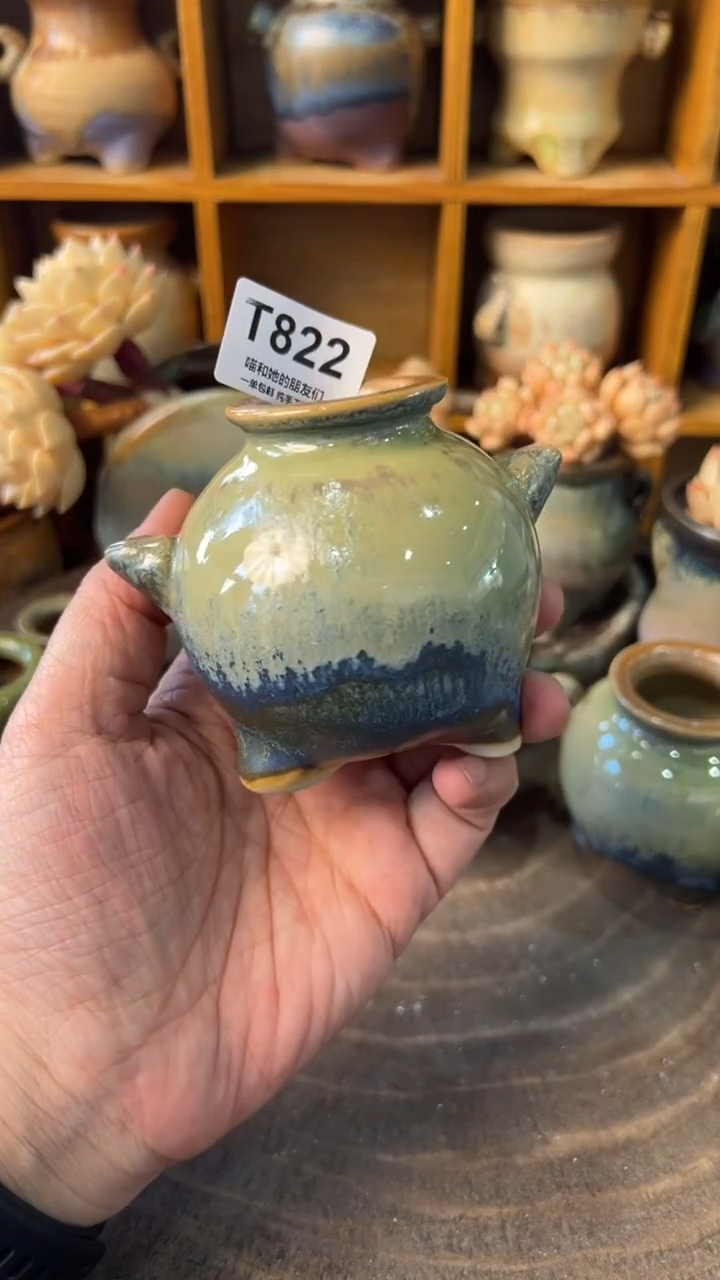 822 内口3【多肉花盆多肉盆】