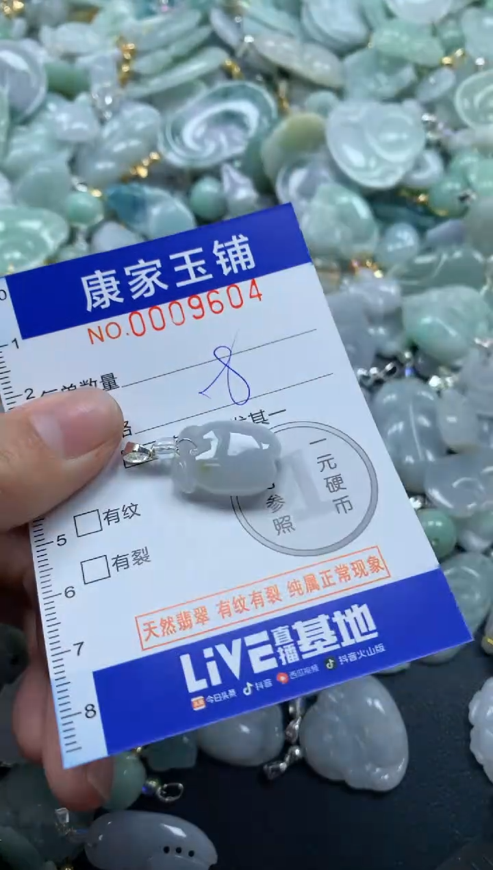 颈饰未镶嵌翡翠9604