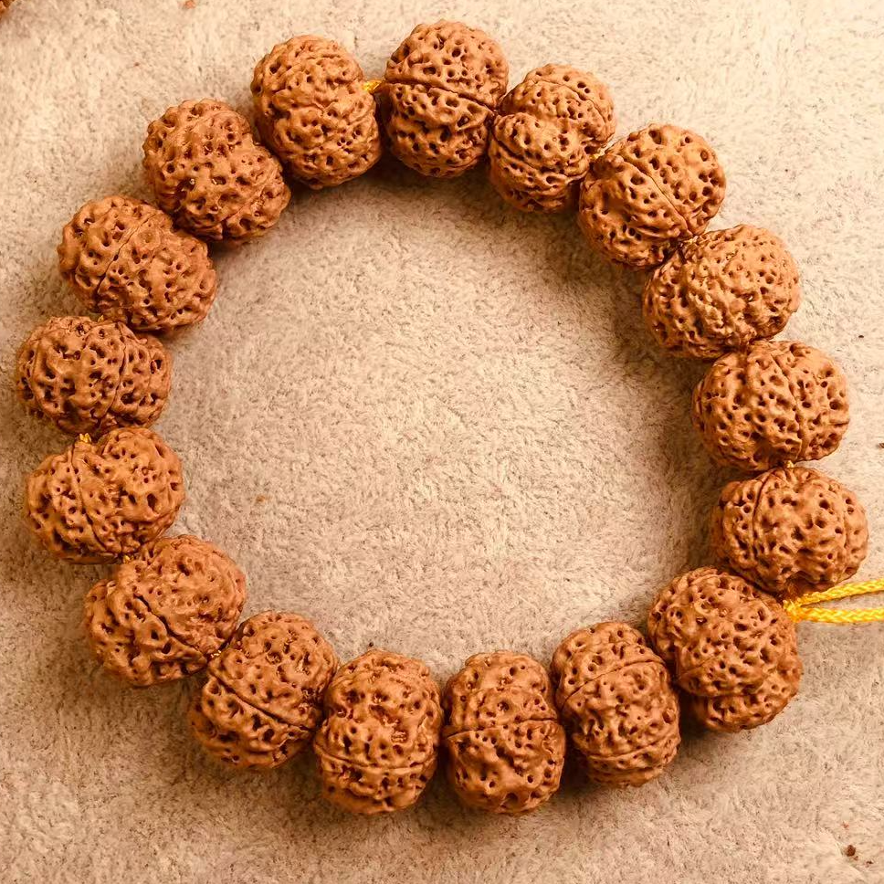 19MM满肉蜂窝双龙