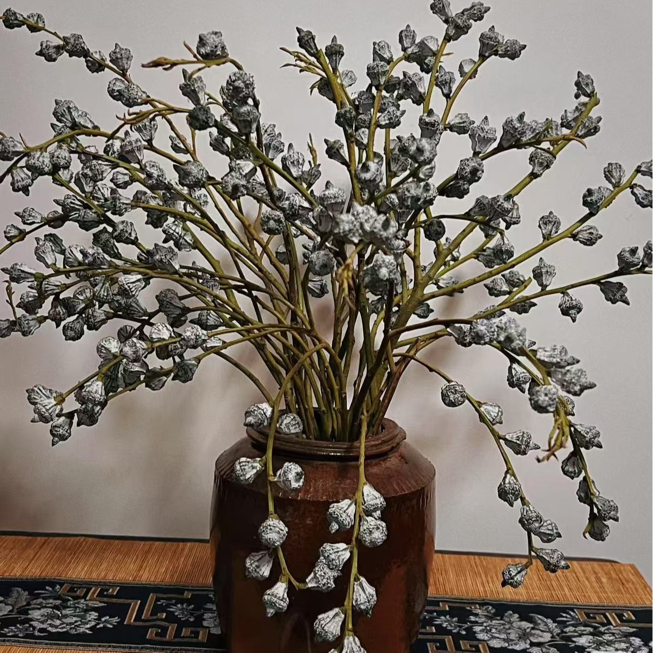 尤加利果鲜切花材室内摆放美观可做干花带淡淡清香