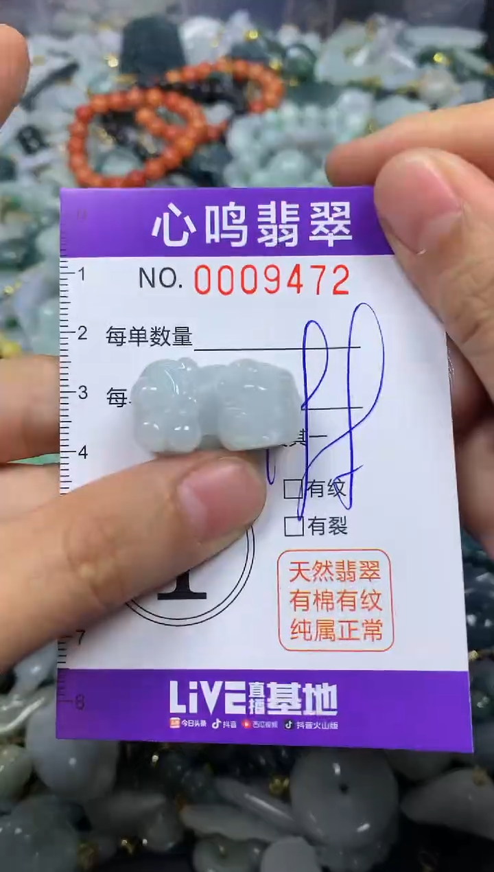 【闪购商品】翡翠颈饰未镶嵌闪购009472