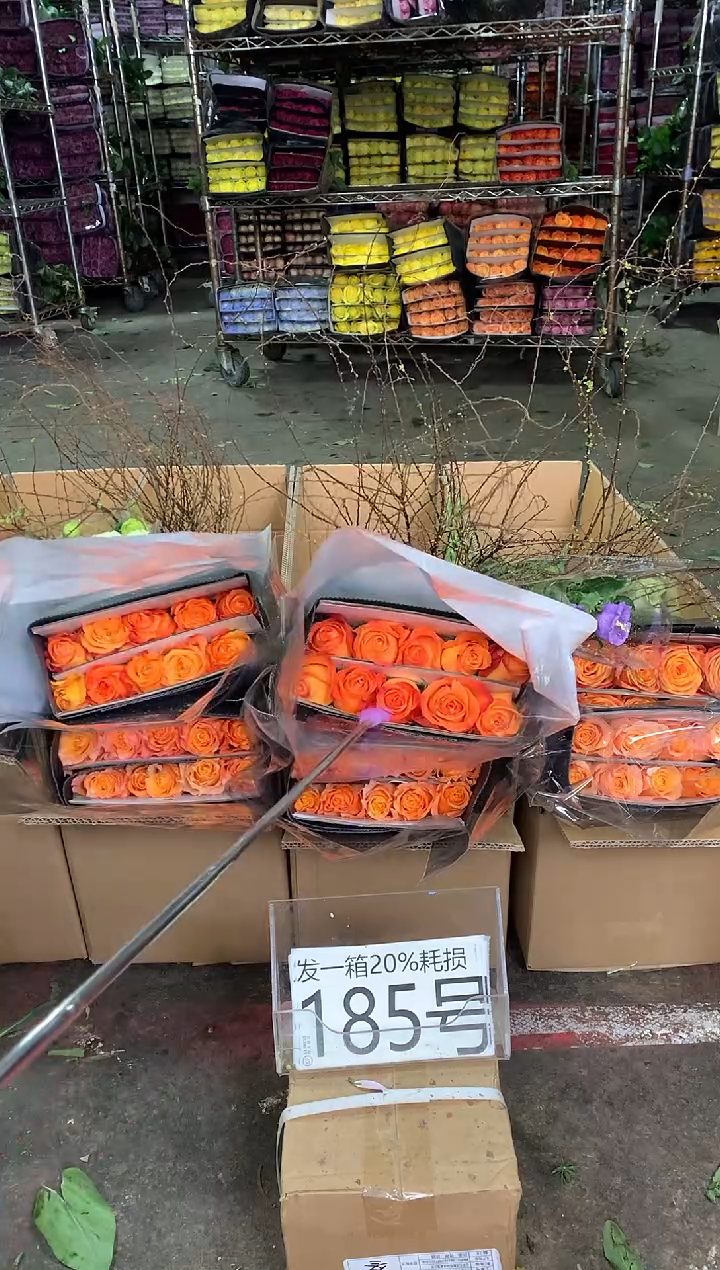 185号♥中通含20%耗损发一箱鲜花