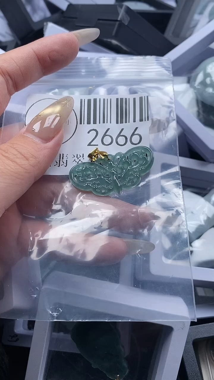 颈饰未镶嵌翡翠2666