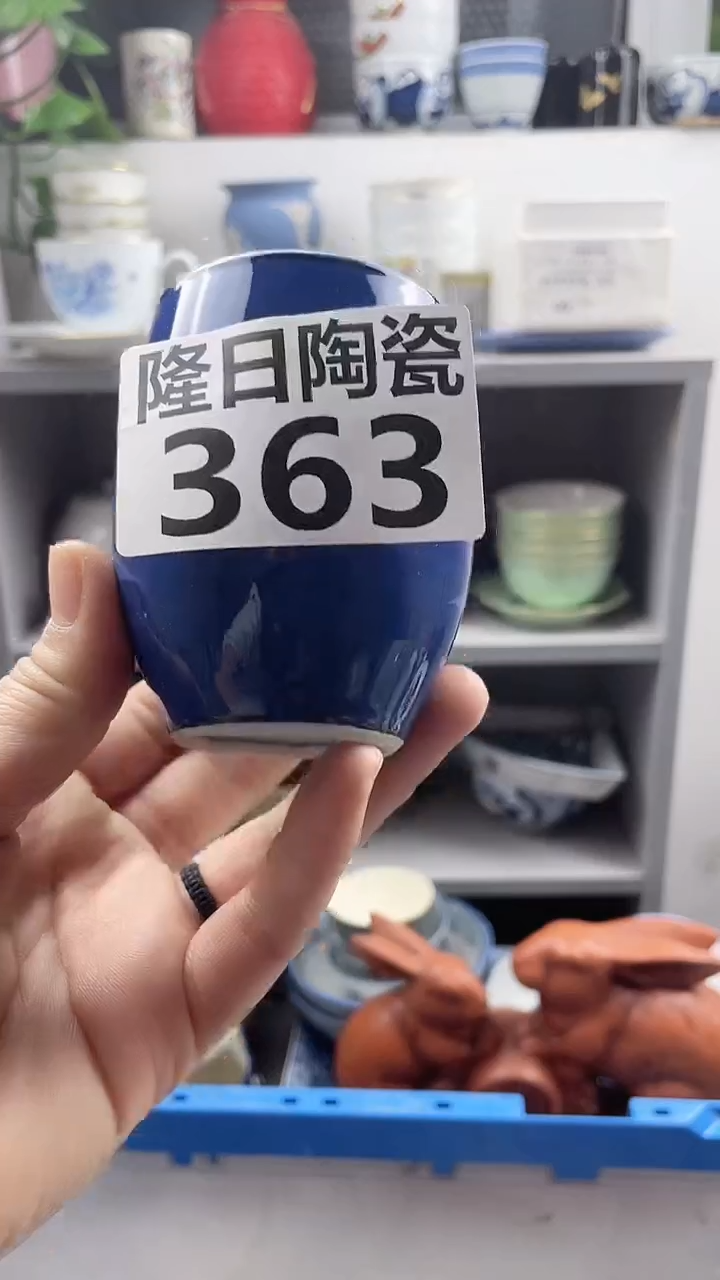 【闪购商品】瓷片363longritaoci