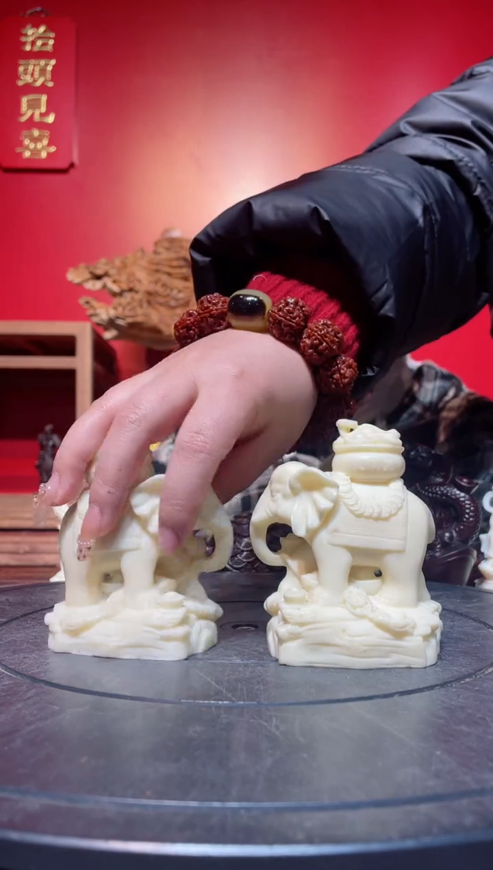 【闪购商品】菩提其他(直播推荐)     白对象