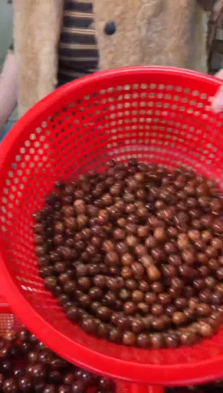 黄花梨/降香黄檀手串/手链海南黄花梨1.2规格