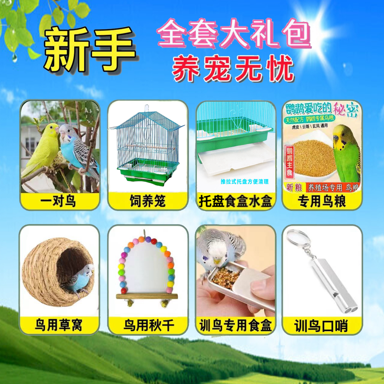 手玩鹦鹉新手大礼包【鹦鹉 2个+加厚鸟笼+鸟窝+鸟粮+玩具】