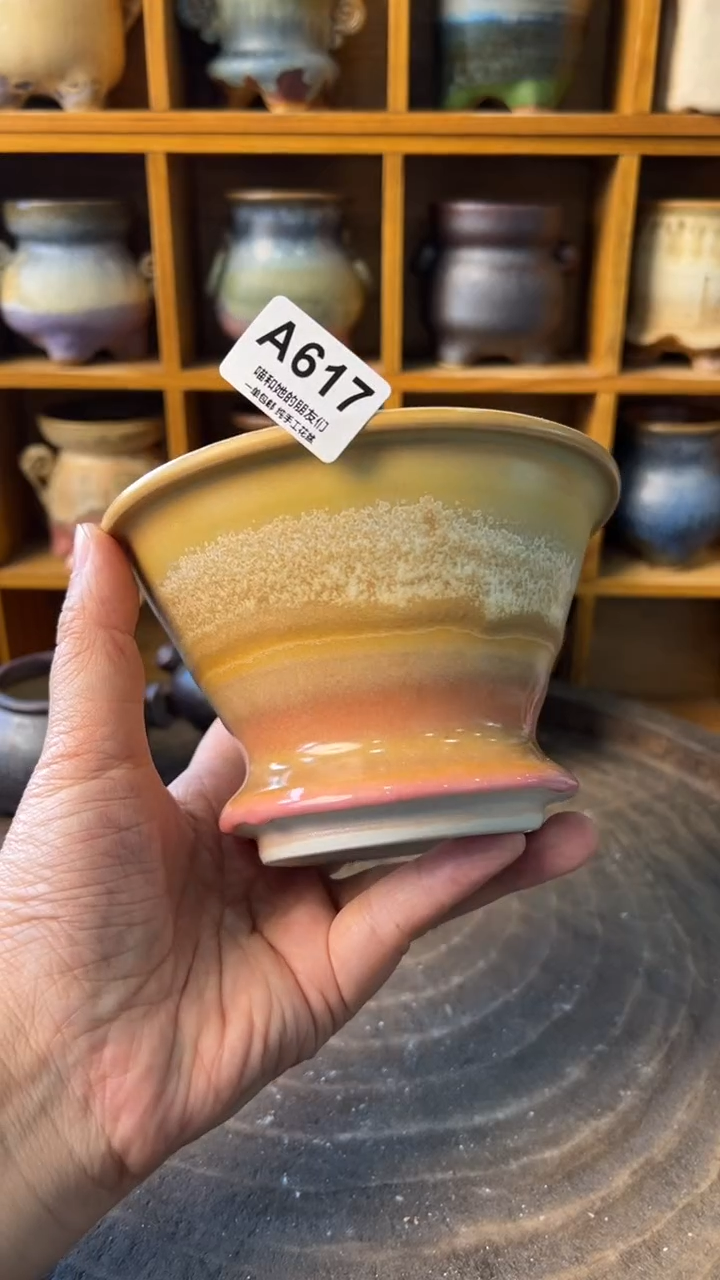 617 内口11【多肉花盆多肉盆】