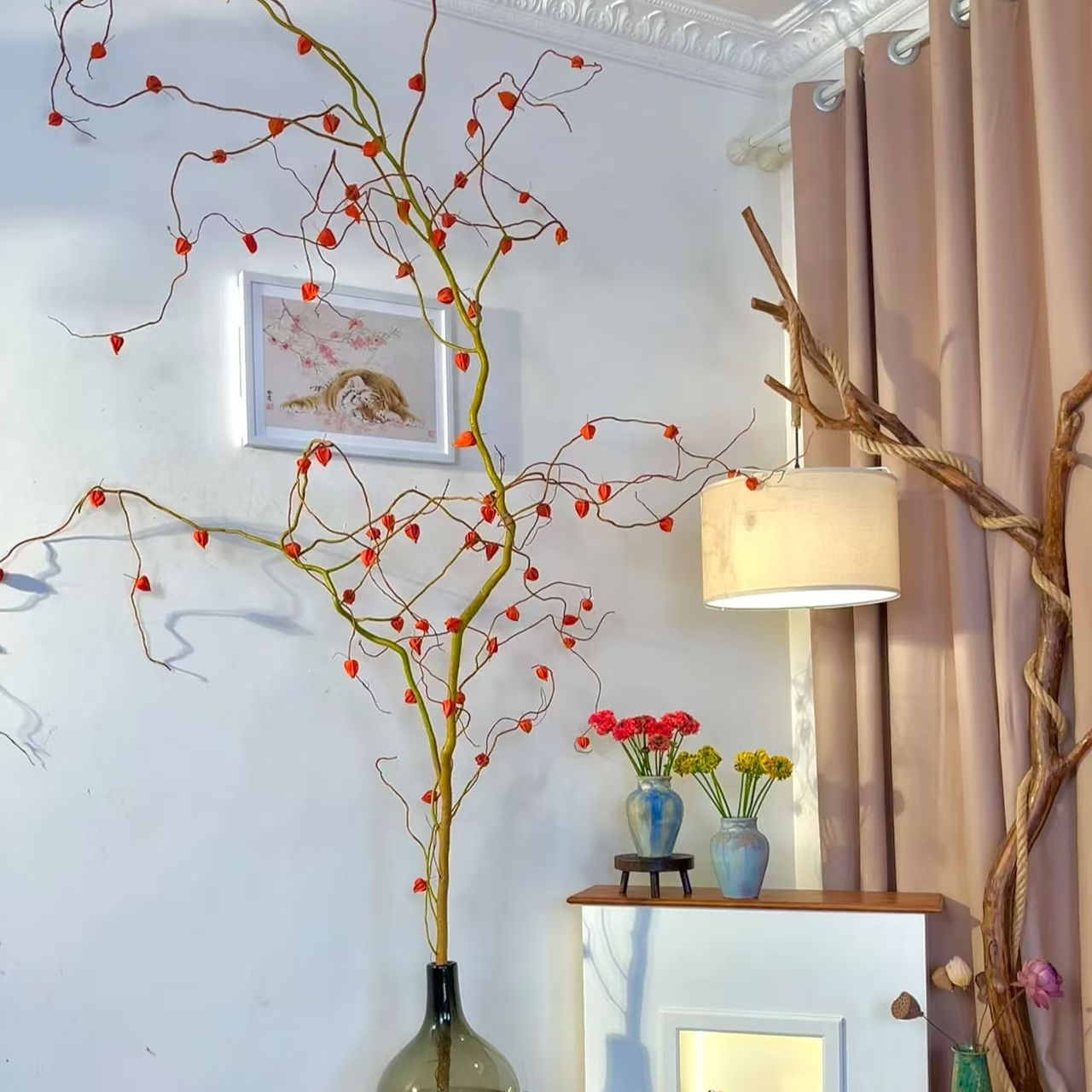 早安花园~金灯龙柳室内观赏性花材  可做干花