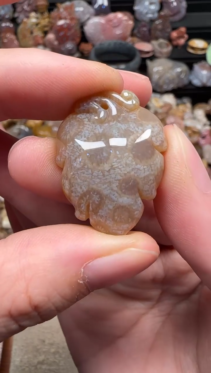 颈饰未镶嵌硅化珊瑚（珊瑚玉）053