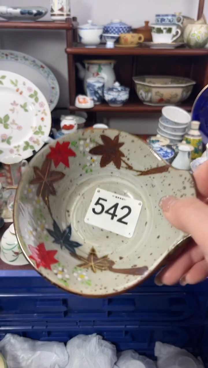 【闪购商品】瓷片542................