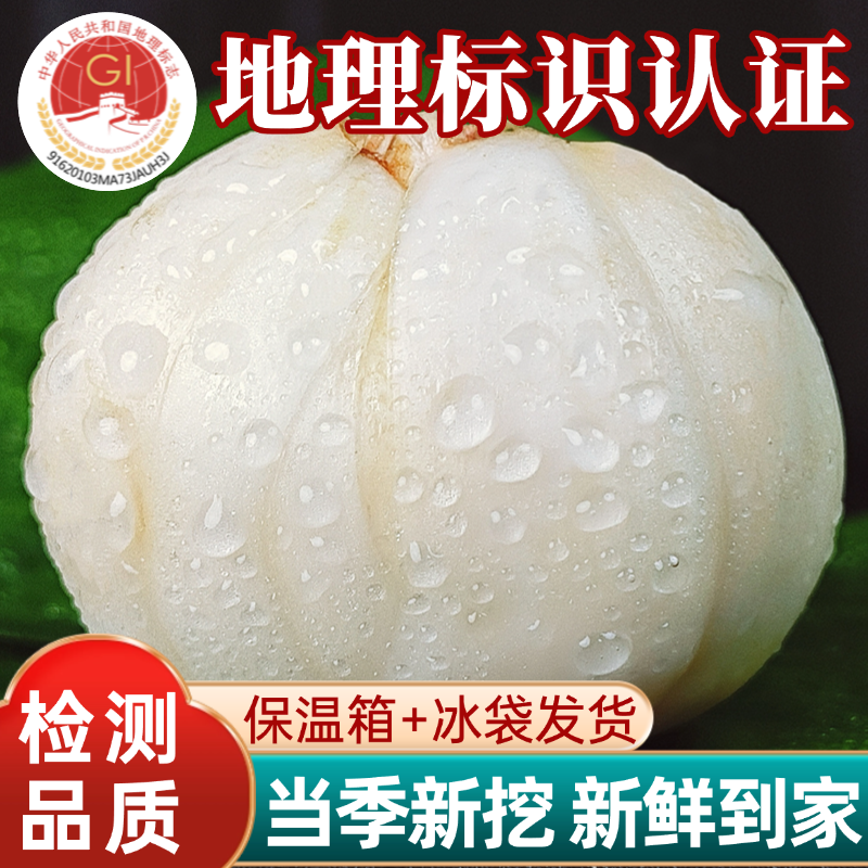 兰小合兰州新鲜百合可生吃甜百合甘肃特产水果鲜百合食用整颗百合