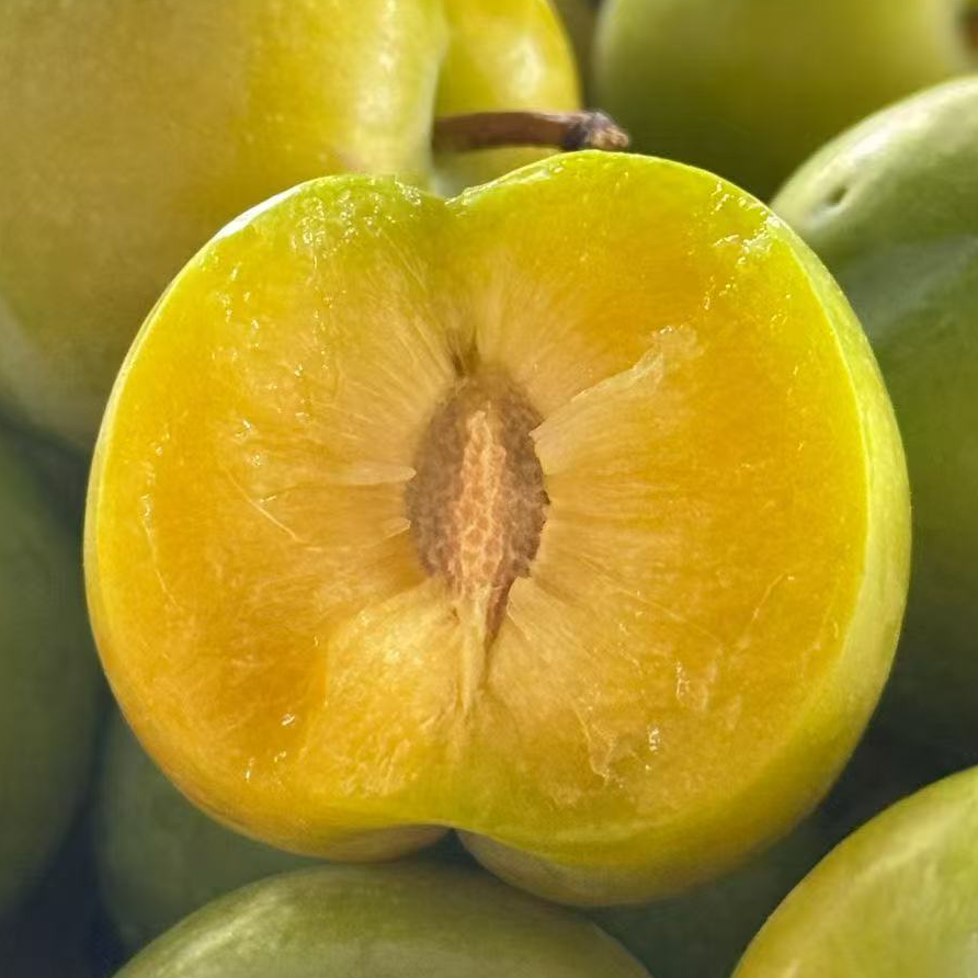 贵州镇宁蜂糖李贵州省