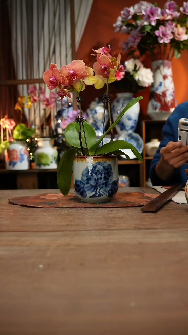 当代高温釉下彩手绘陶瓷餐具