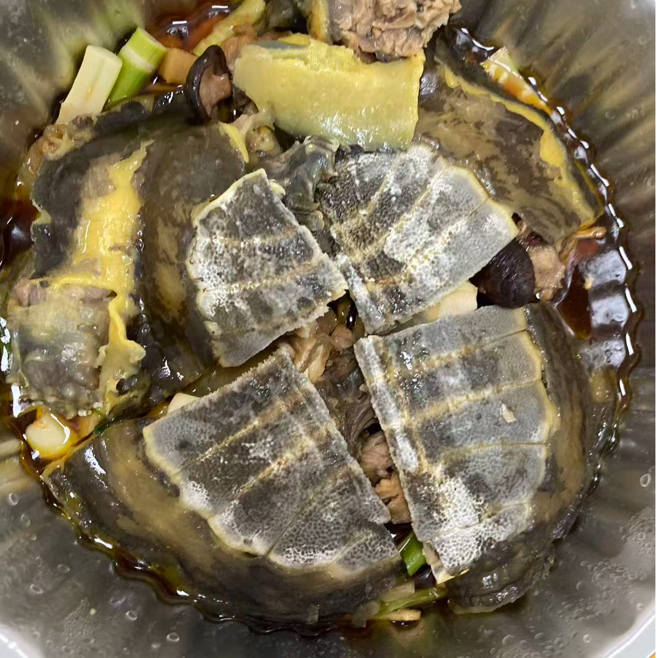 【泰富小厨】干蒸黄油甲鱼 一只
