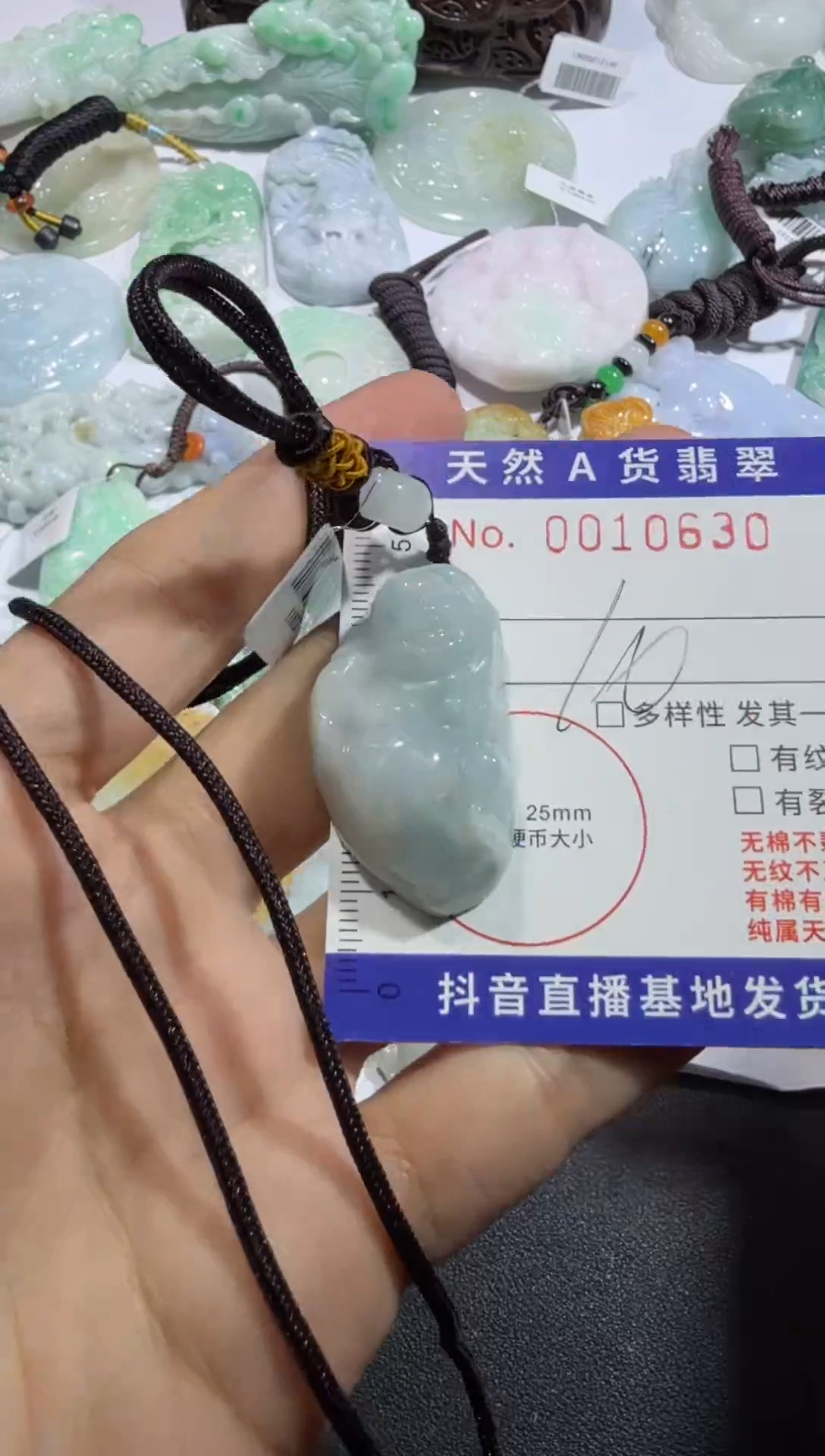 【闪购商品】翡翠颈饰未镶嵌00010630