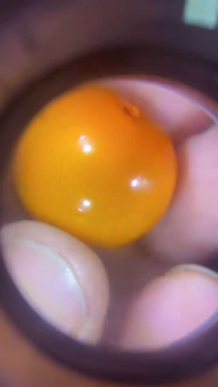 【闪购商品】瓷片闪购商品，如图所示