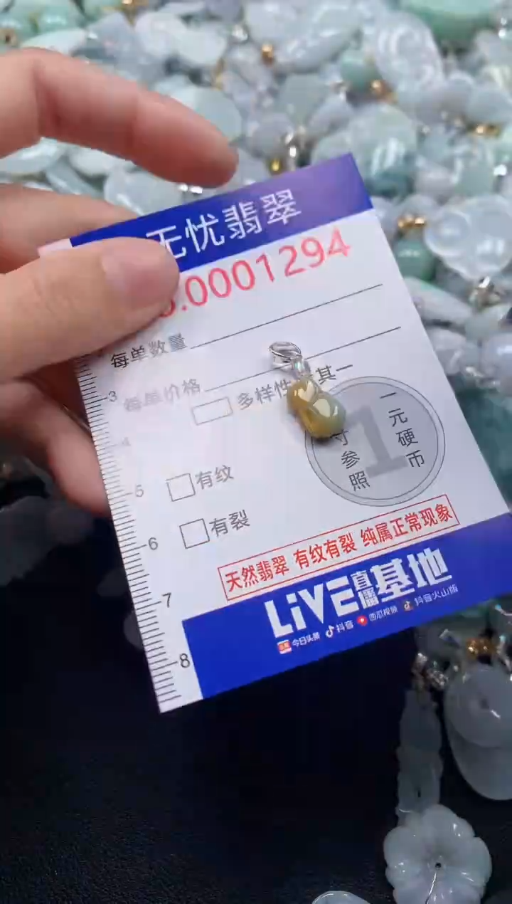 颈饰未镶嵌翡翠1294