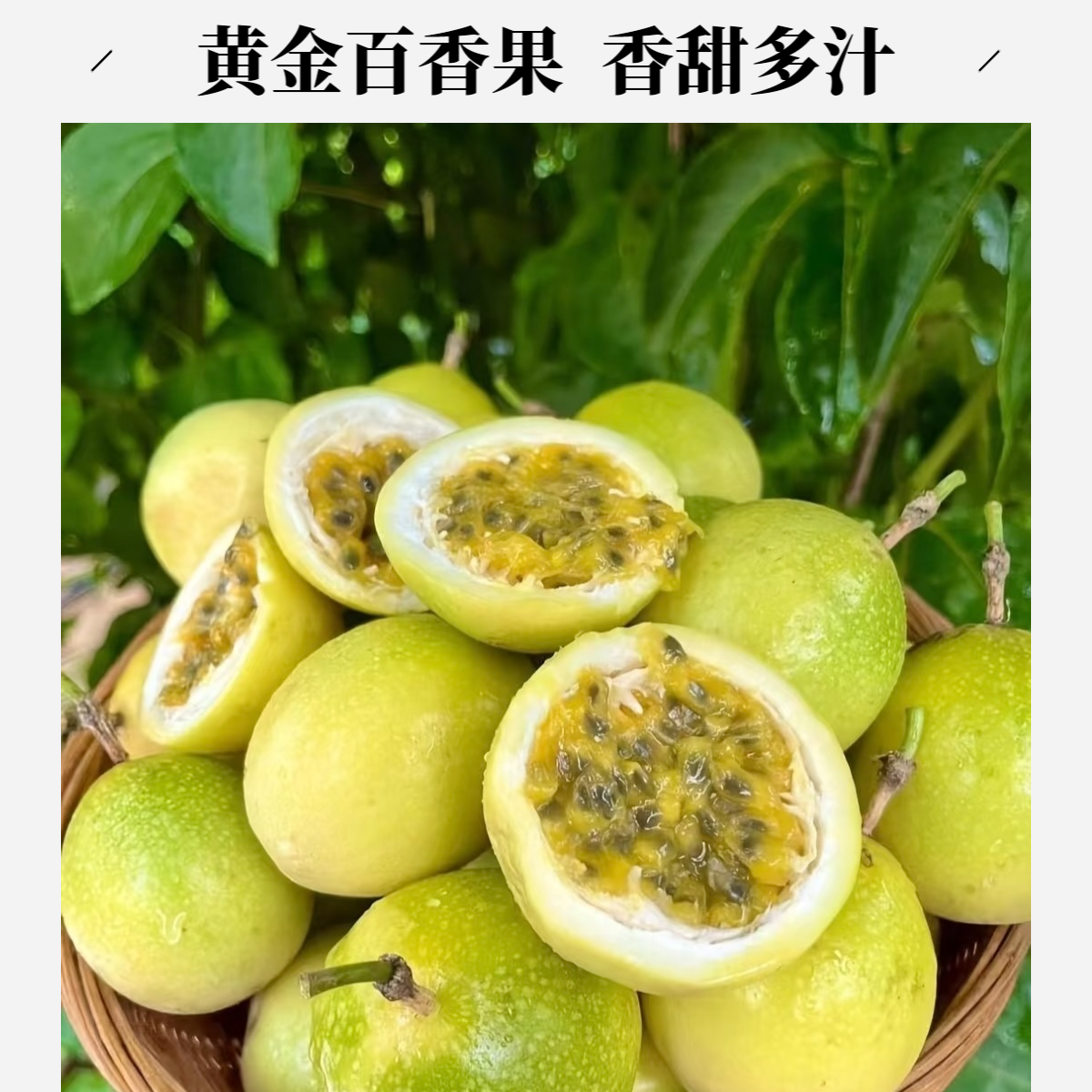 云南特大黄金百香果新鲜应季钦蜜9号纯甜百香果饱满多汁现摘现发