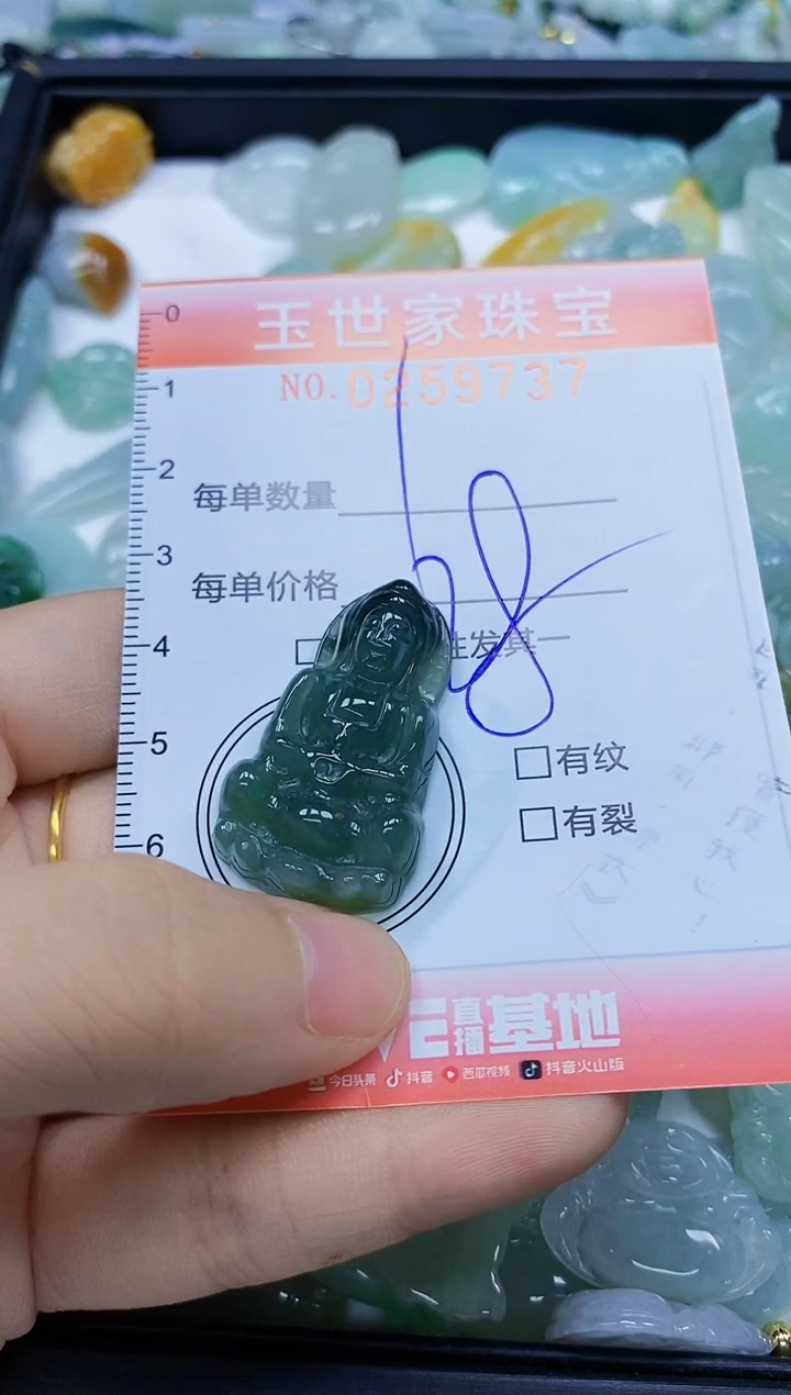 翡翠未镶嵌颈饰闪购0259737