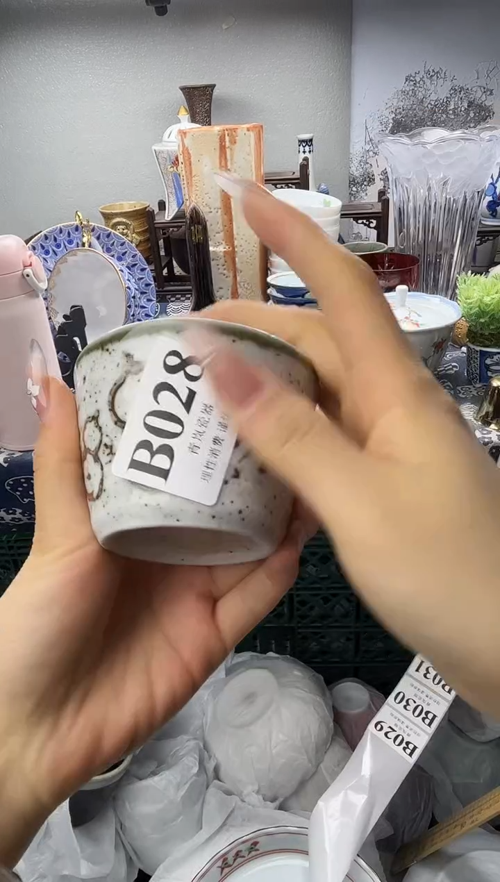 瓷片达**氏  B028