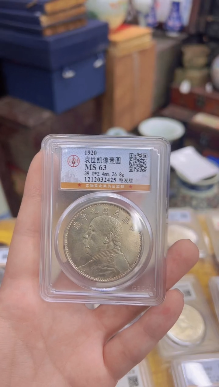 铜懂的自己拍/GB头大的9