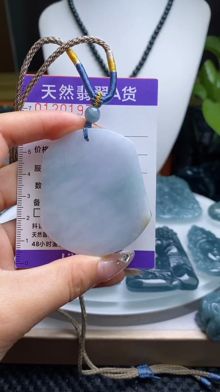翡翠未镶嵌颈饰         