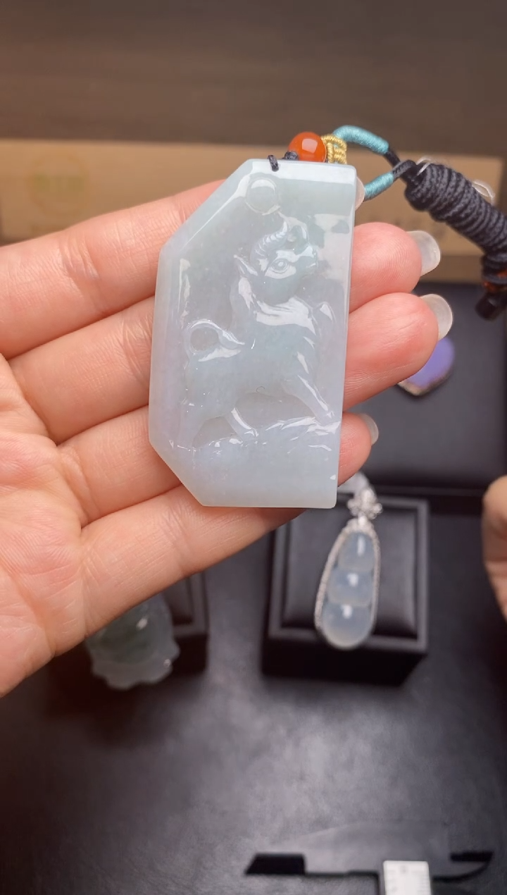 【闪购商品】翡翠颈饰未镶嵌翡翠