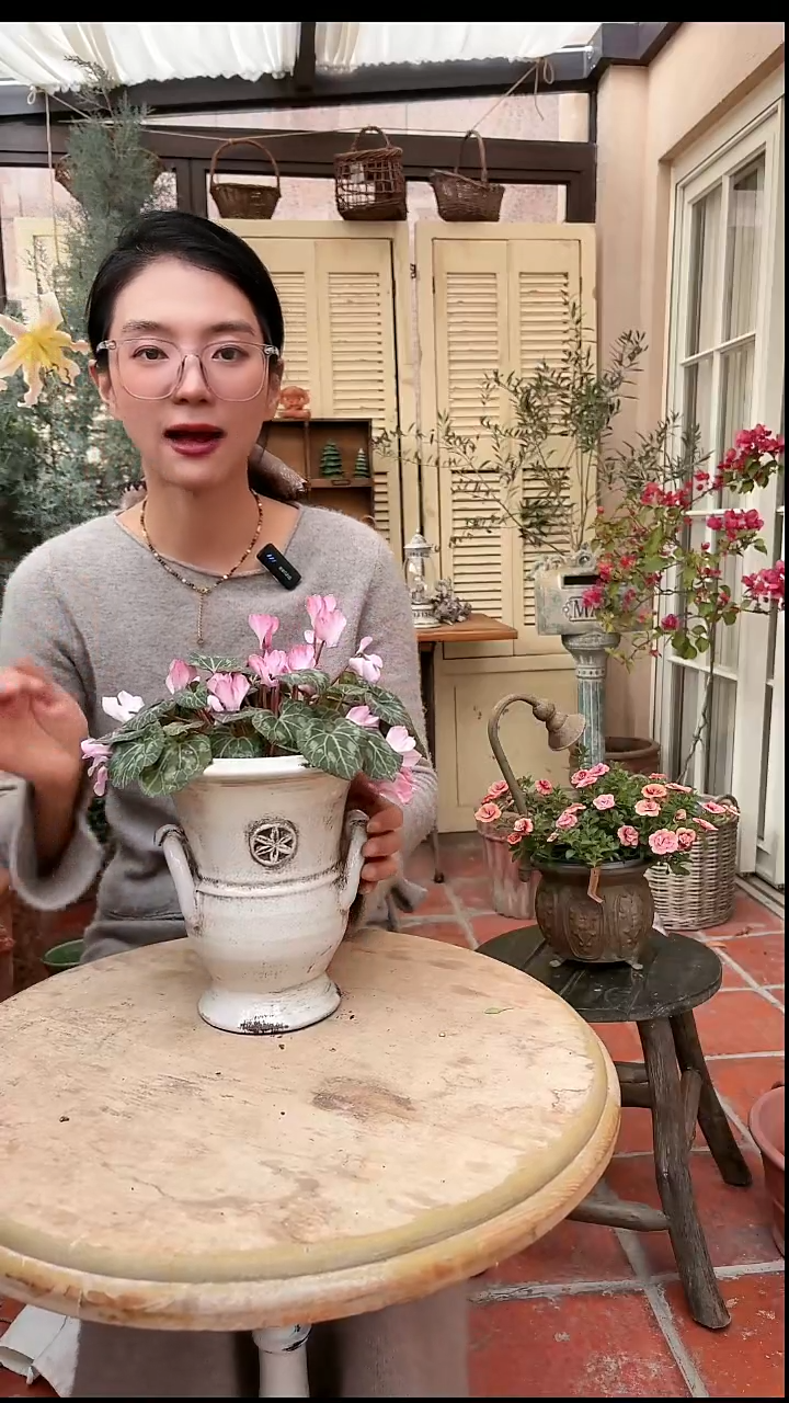 红陶手拉冰裂花盆直播福利005