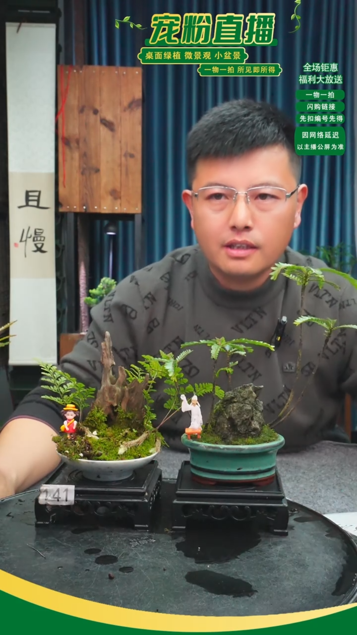 无花朵空*苔藓微景观141号